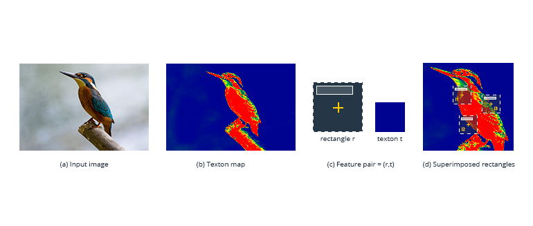 Data Annotation