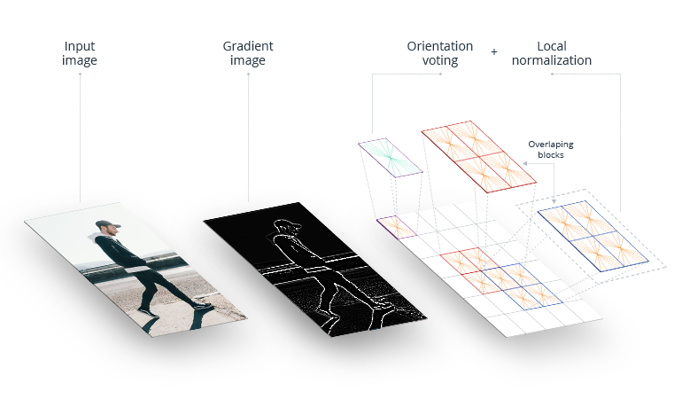 Data Annotation