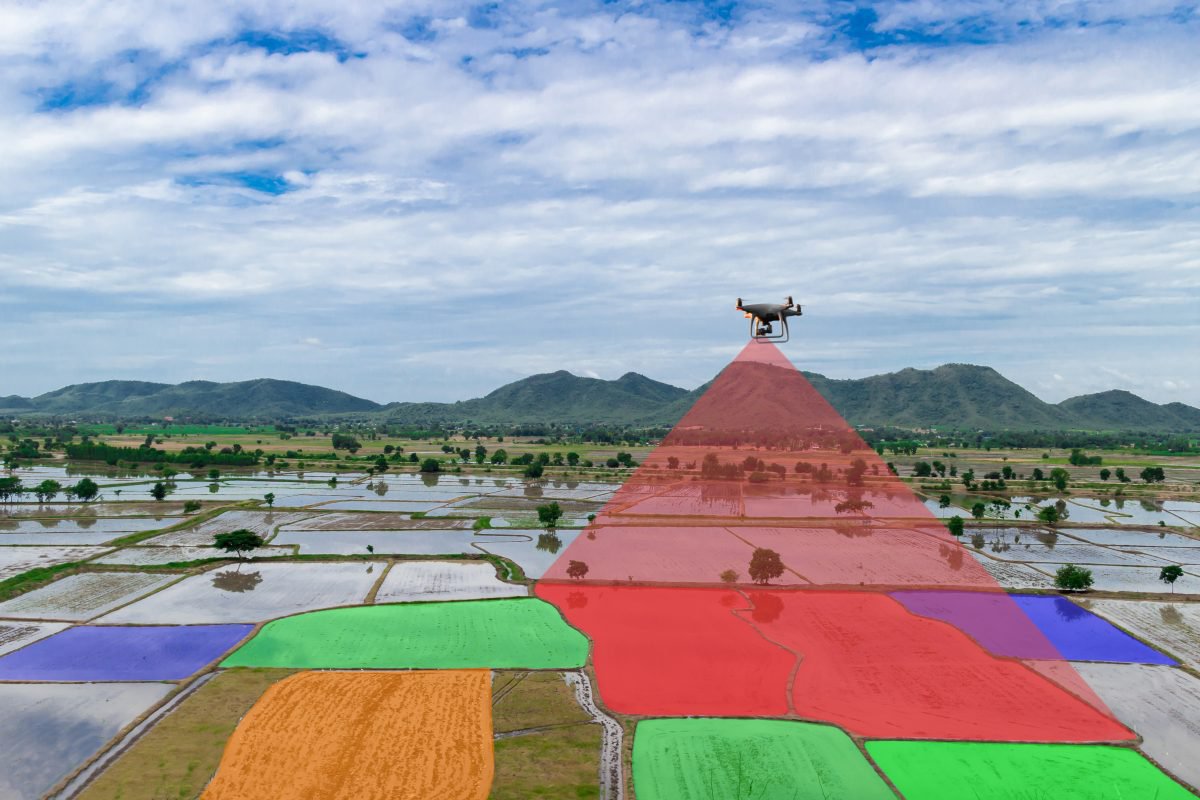 AI in Agriculture