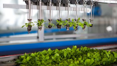 Robotics In Agriculture