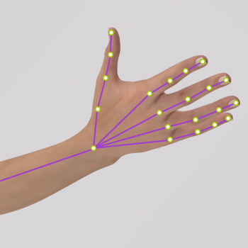 Hand Motion Tracking Technology