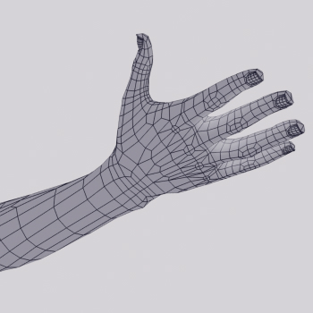 3D Model Hand Motion