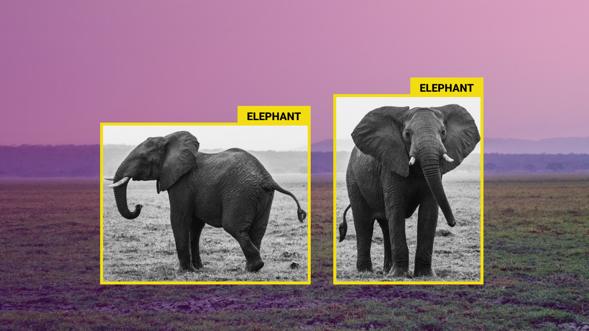<Protecting Endangered Animals With AI