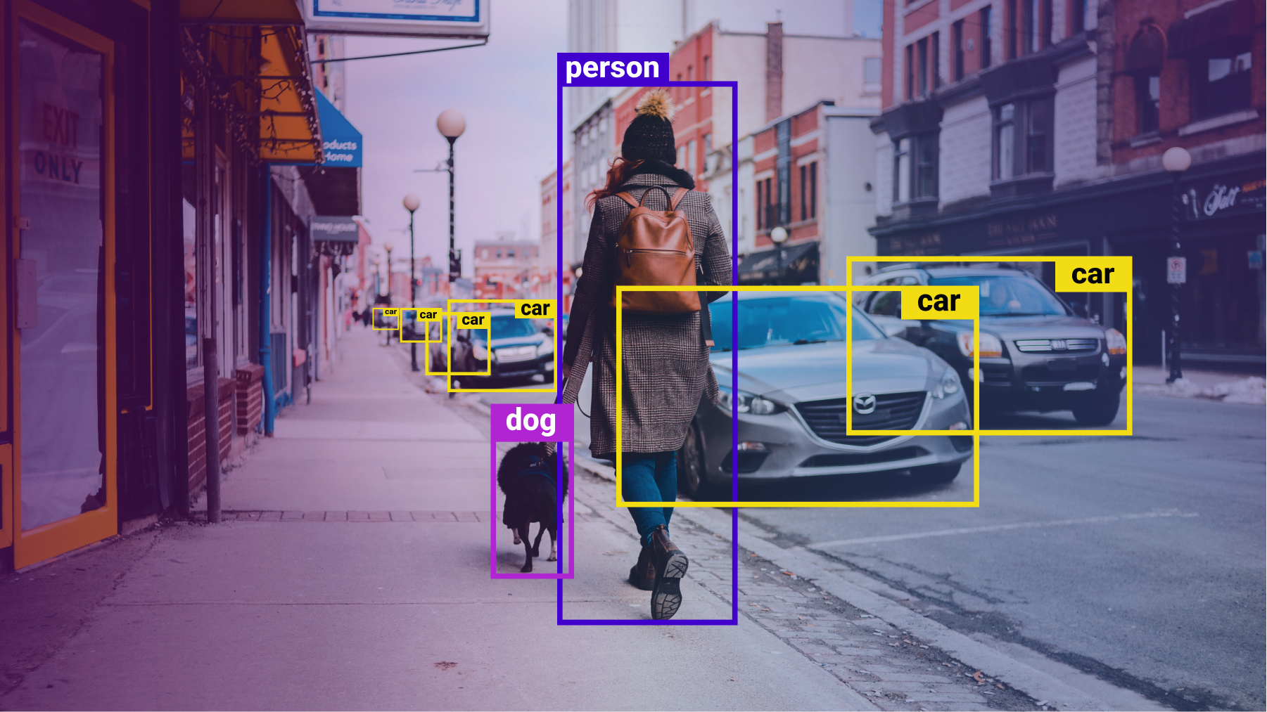 <Training Computer Vision Models With Data Annotation