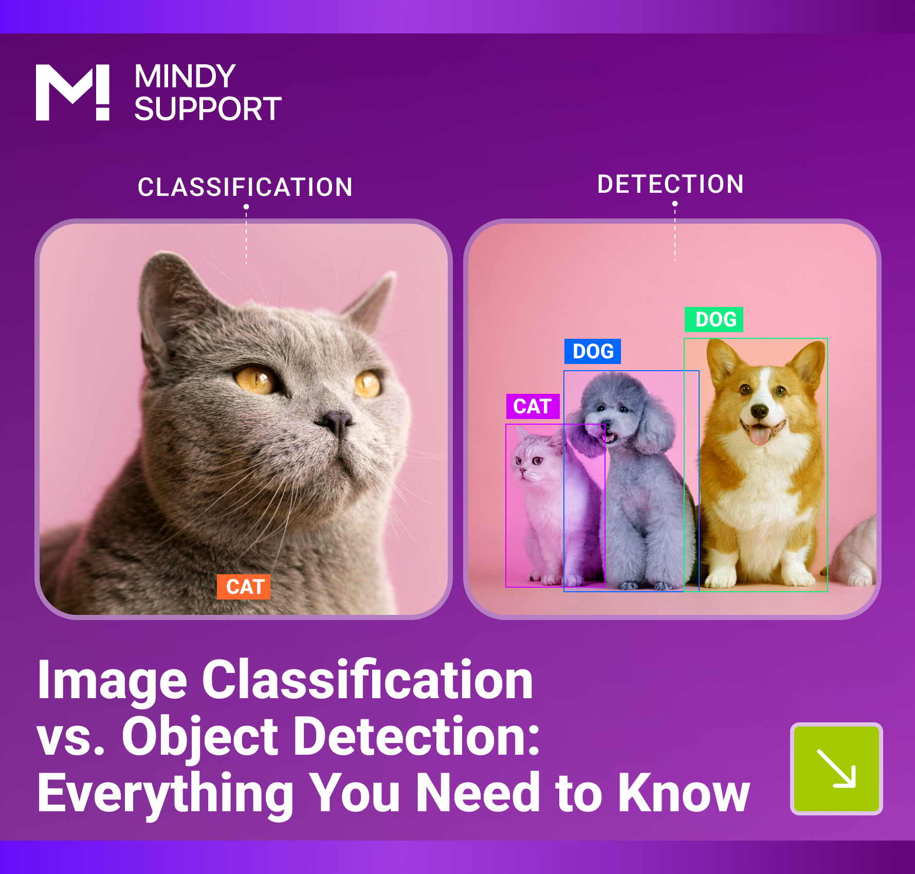 Image Classification vs. Object Detection: Everything You Need to Know ...